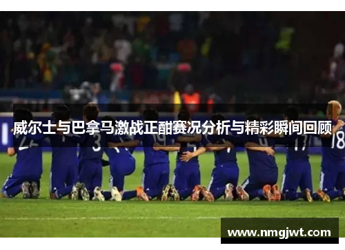 威尔士与巴拿马激战正酣赛况分析与精彩瞬间回顾